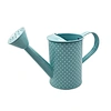 the watering can